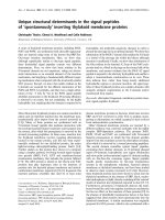 Báo cáo Y học: Unique structural determinants in the signal peptides of ‘spontaneously’ inserting thylakoid membrane proteins pptx