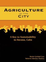 agriculture in the city a key to sustainability in havana cuba doc