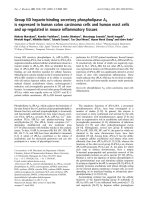 Báo cáo Y học: Group IID heparin-binding secretory phospholipase A2 is expressed in human colon carcinoma cells and human mast cells and up-regulated in mouse inﬂammatory tissues doc