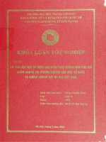 vai trò của việc áp dụng các biện pháp chống bán phá giá nhằm bảo vệ thị trường nội địa của một số nước và những vấn đề đặt ra cho việt nam