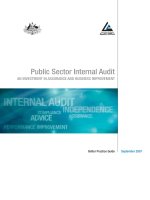 Public Sector Internal Audit An InveStment In ASSurAnce And BuSIneSS ImProvement potx
