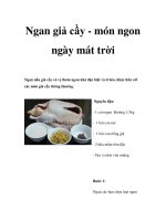 Ngan giả cầy - món ngon ngày mát trời docx