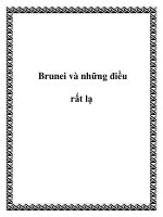 Brunei và những điều rất lạ potx