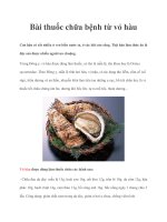 Bài thuốc chữa bệnh từ vỏ hàu potx