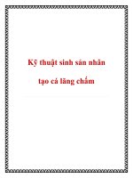 Kỹ thuật sinh sản nhân tạo cá lăng chấm doc