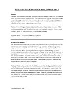 MARKETING OF LUXURY GOODS IN INDIA – WHAT AN IDEA !! pot