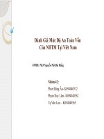 Đánh Giá Mức Độ An Toàn Vốn Của NHTM Tại Viêt Nam