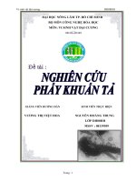 Luận văn: NGHIÊN CỨU PHẨY KHUẨN TẢ docx