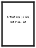 Kỹ thuật ương tôm càng xanh trong ao đất docx