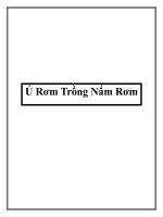 Ủ Rơm Trồng Nấm Rơm ppt