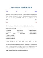 Net - Worm.Win32.Kido.ih potx