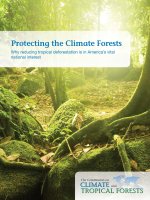 Protecting The Climate Forests : Why Reducing Tropical Deforestation Is In Americażs Vital National Interest pptx