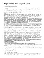 Soạn bài “Cô Tô” – Nguyễn Tuân