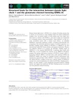 Báo cáo khoa học: Structural basis for the interaction between dynein light chain 1 and the glutamate channel homolog GRINL1A docx