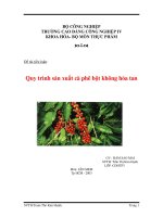 Tiểu luận:Quy trình sản xuất cà phê bột không hòa tan doc