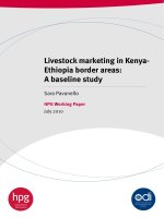 Livestock marketing in Kenya- Ethiopia border areas: A baseline study docx