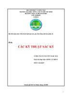 TIỂU LUẬN:CÁC KỸ THUẬT SẮC KÝ potx