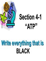 Section 4-1 " ATP " write everything that is Black