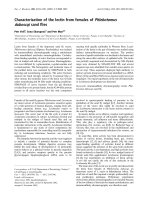 Báo cáo Y học: Characterization of the lectin from females of Phlebotomus duboscqi sand ﬂies doc