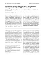 Báo cáo khóa học: Structural and functional comparison of 15S- and 15R-speciﬁc cyclooxygenases from the coral Plexaura homomalla potx