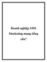 Doanh nghiệp SMS Marketing mang tiếng xấu? pot