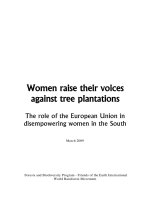 Women raise their voices against tree plantations - The role of the European Union in disempowering women in the South docx