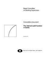 Consultative document The internal audit function in banks pptx