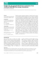 Báo cáo khoa học: Insight into the phosphodiesterase mechanism from combined QM ⁄ MM free energy simulations pot