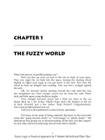 fuzzy logic a practical approach - f. martin mcneill, ellen thro