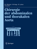 Chirurgie der abdominalen und thorakalen Aorta pot
