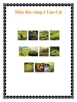 Mùa thu vàng ở Lào Cai docx