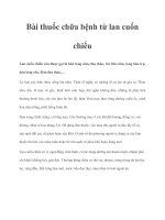 Bài thuốc chữa bệnh từ lan cuốn chiếu pdf