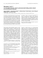Báo cáo khoa học: Pherokine-2 and -3 Two Drosophila molecules related to pheromone/odor-binding proteins induced by viral and bacterial infections ppt