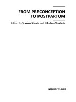 From Preconception to Postpartum Edited by Stavros Sifakis and Nikolaos Vrachnis pptx