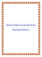 Bài học về đầu tư: Sự lựa chọn & bạn nhìn thế giới thế nào ? docx