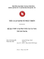Đề Tài: UNDP và Sự Phát Triển Của Các Nước Thế Giới Thứ Ba