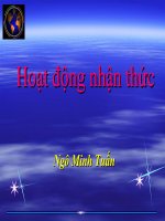 Hoạt động nhận thức ppt