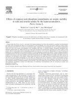Effects of compost and phosphate amendments on arsenic mobility in soils and arsenic uptake by the hyper