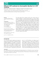 Báo cáo khoa học: Efﬁcient ATP synthesis by thermophilic Bacillus FoF1-ATP synthase ppt