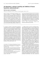 Báo cáo khoa học: pH dependence, substrate speciﬁcity and inhibition of human kynurenine aminotransferase I ppt