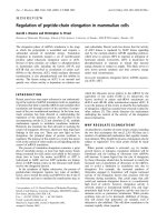 Báo cáo Y học: Regulation of peptide-chain elongation in mammalian cells pptx