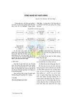 Công nghệ sấy ngô giống doc