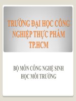 TIỂU LUẬN MÔN CÔNG NGHỆ KỸ THUẬT MÔI TRƯỜNG -  PHÂN BiỆT BỐN LoẠI BỂ KỊ KHÍ
