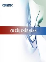 Cơ cấu chấp hành pdf