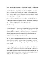 Đầu tư vào ngân hàng: Rót ngàn tỷ vẫn không run pptx