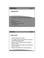 Integrated Audit pot