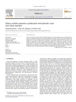 Silicon carbide nanowires synthesized with phenolic resin and silicon powders