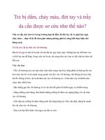 Trẻ bị dằm, chảy máu, đứt tay và trầy da cần được sơ cứu như thế nào? ppt