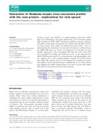 Báo cáo khoa học: Interaction of Sesbania mosaic virus movement protein with the coat protein – implications for viral spread Soumya Roy Chowdhury and Handanahal Subbarao Savithri docx