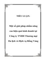 TIỂU LUẬN: Một số giải pháp nhằm nâng cao hiệu quả kinh doanh tại Công ty TNHH Thương mại Du lịch và Dịch vụ Rồng Vàng pot